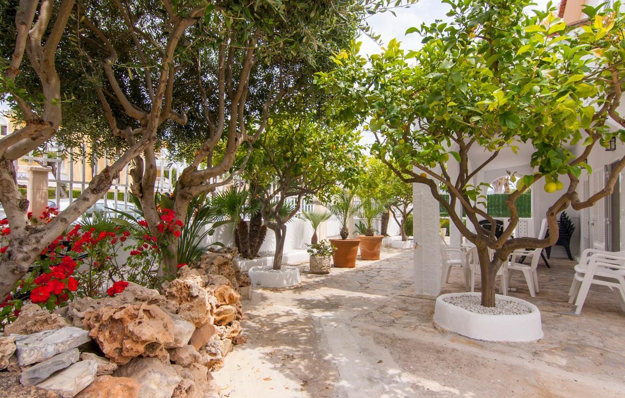 Villa Comes Alcudia  Eksteriør billede